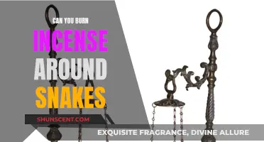 Incense and Snakes: A Safe Combination?