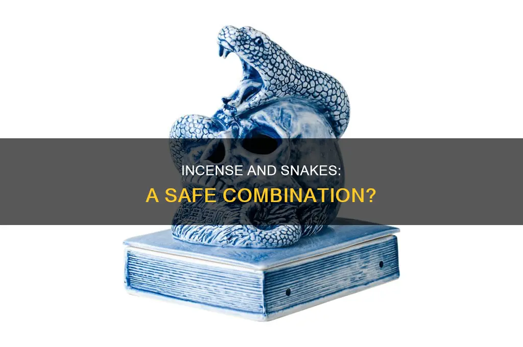can you burn incense around snakes