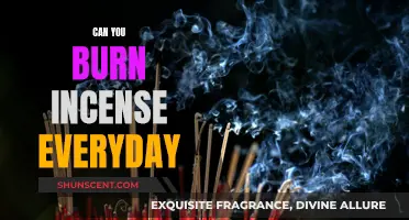 Incense Burning: Everyday Use and Benefits Explored