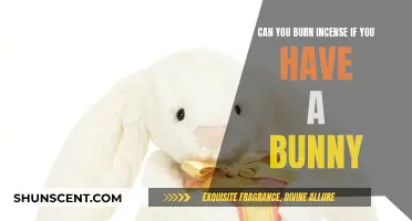 Incense and Bunnies: Safe or Not?