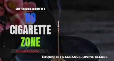 Incense Burning vs. Cigarette Smoking: Exploring Smoke-Free Zones