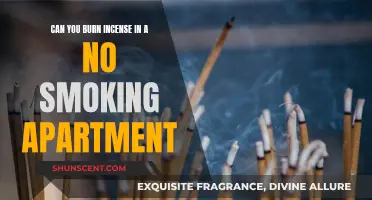 Incense Burning in No-Smoking Apartments: Allowed or Not?