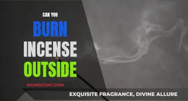 Incense Burning: Outdoor Scents and Sensibilities