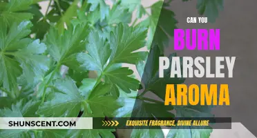 Burning Parsley: Aromatic and Healthy