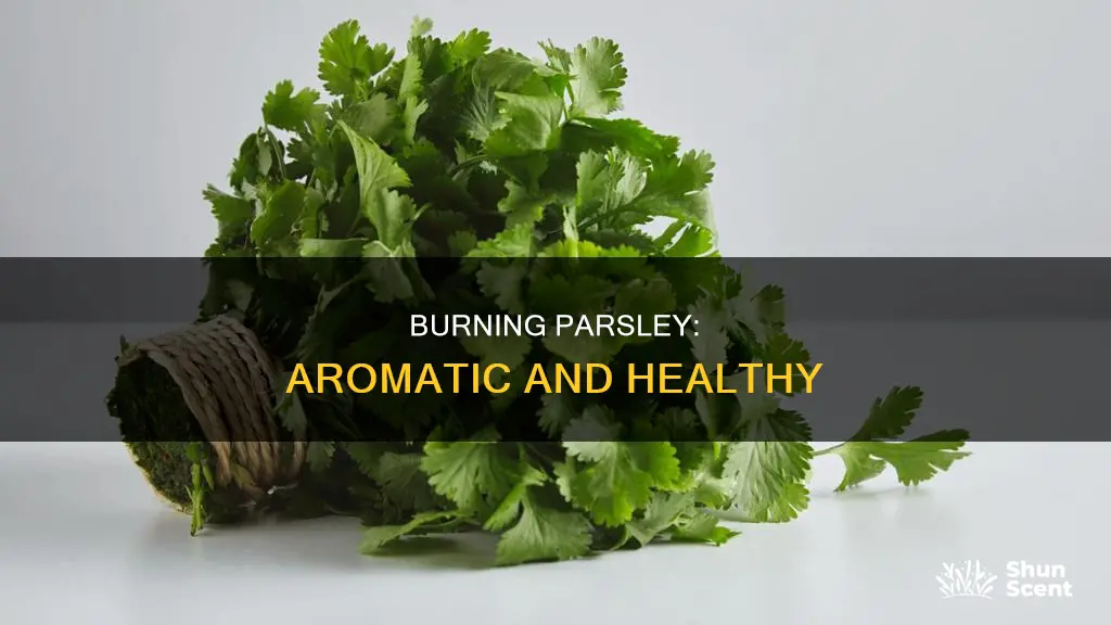 can you burn parsley aroma