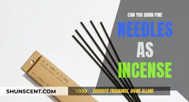 Burning Pine Needles: Incense or Not?
