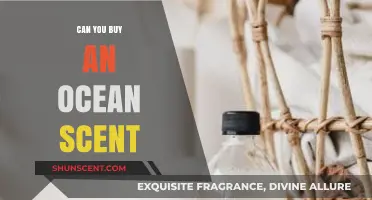 Capturing the Ocean's Essence: Can You Buy a Sea Breeze Scent?