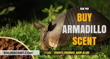 Where to Find and Buy Authentic Armadillo Scent: A Guide