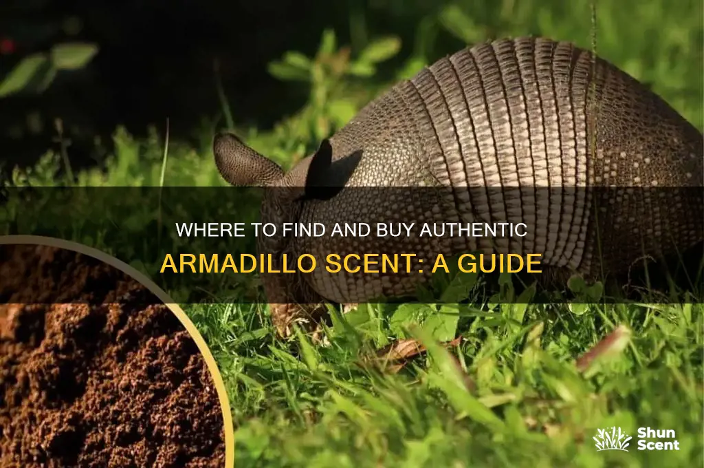 can you buy armadillo scent