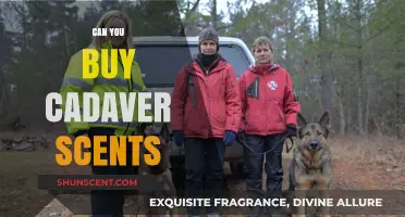 Exploring the Availability of Cadaver Scents: A Comprehensive Guide