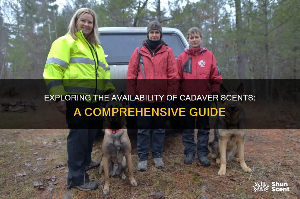 can you buy cadaver scents