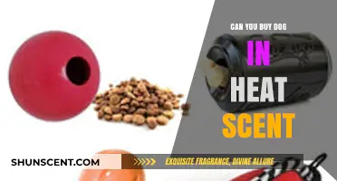Where to Buy Dog in Heat Scent: A Comprehensive Guide