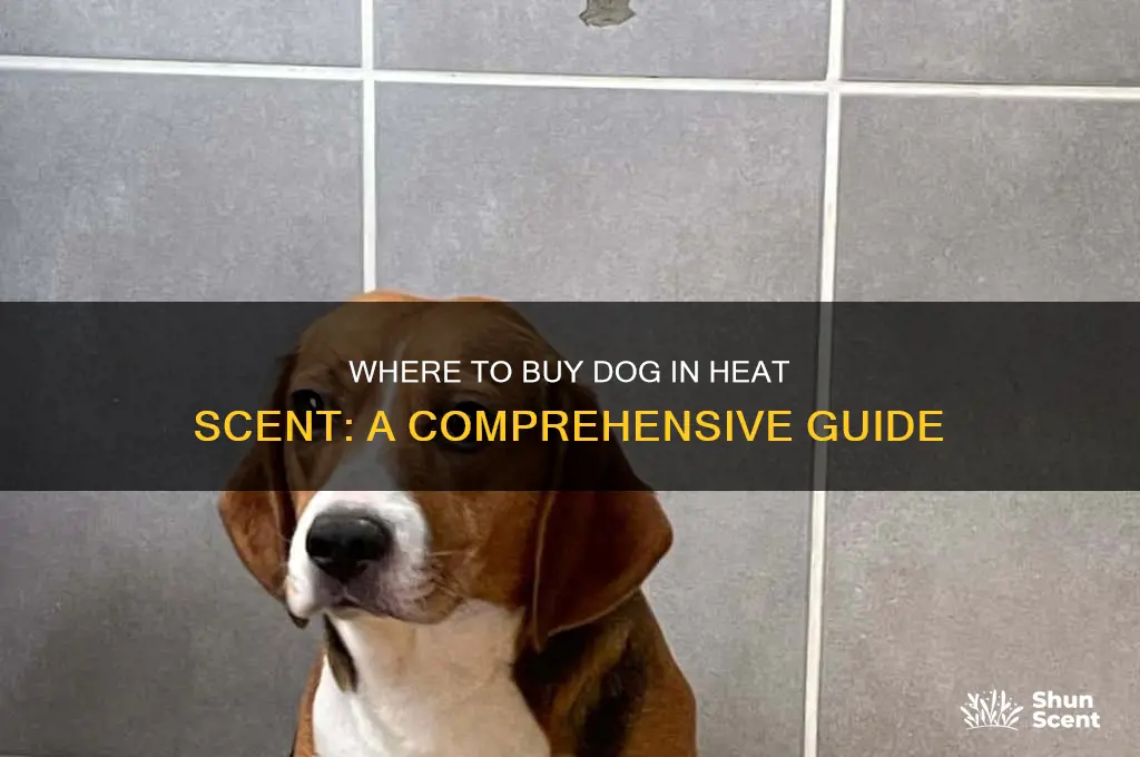 can you buy dog in heat scent
