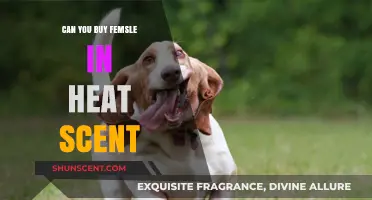 Understanding Female in Heat Scent: Can You Purchase It?