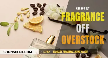 Overstock Fragrance Buying Guide: What You Need to Know