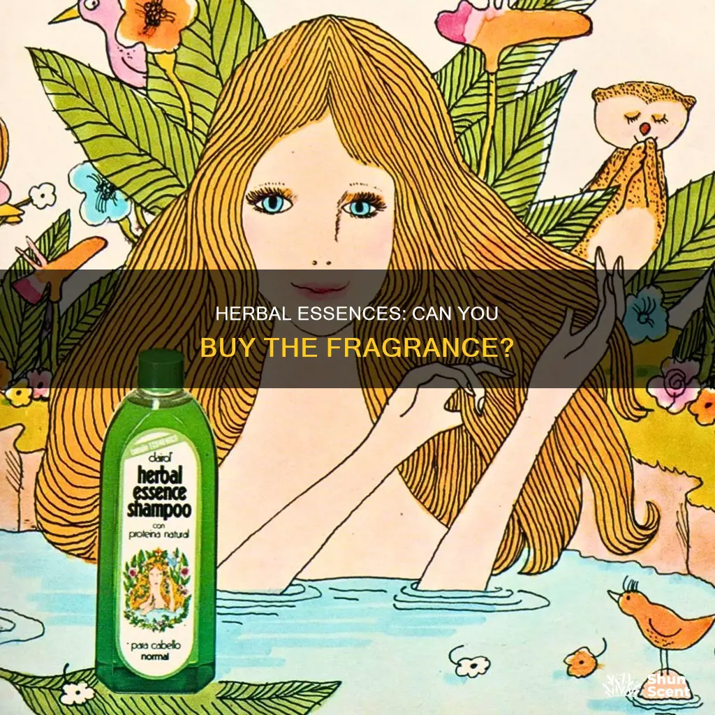 can you buy herbal essences shampoo fragrance oil