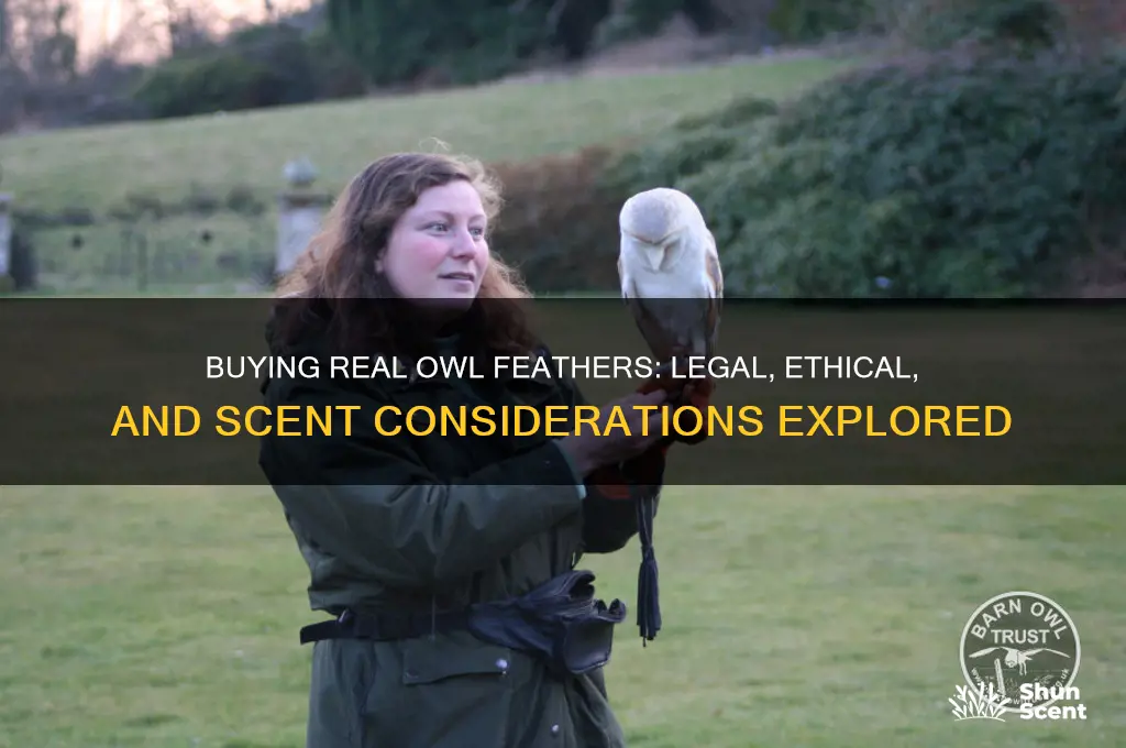 can you buy scent real owl feathers