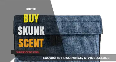 Where to Buy Skunk Scent: Uses, Availability, and Safety Tips