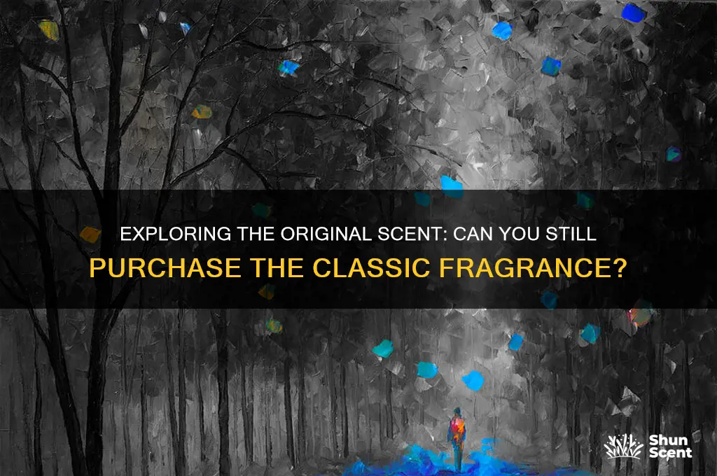can you buy the original scent o