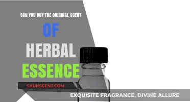 Reviving Nostalgia: Can You Still Buy Herbal Essences' Original Scent?