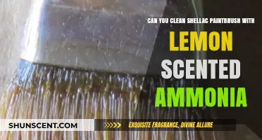Cleaning Shellac Paintbrushes: Lemon Scented Ammonia Tips and Tricks