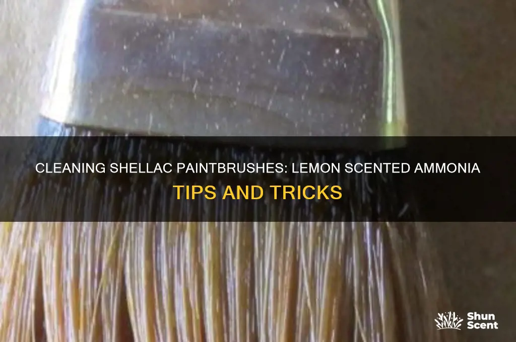 can you clean shellac paintbrush with lemon scented ammonia