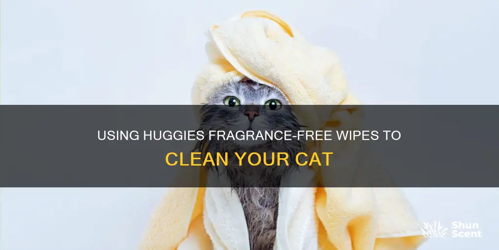 can you clean you cat with huggies fragrance free