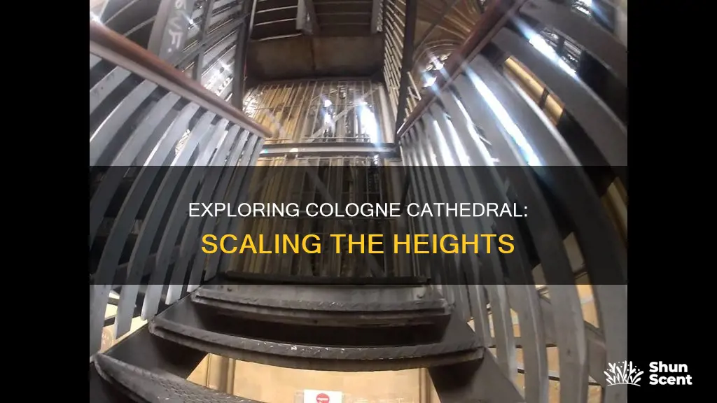 can you climb the cologne cathedral