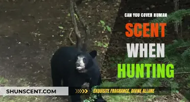 Mastering Stealth: Effective Techniques to Mask Human Scent While Hunting