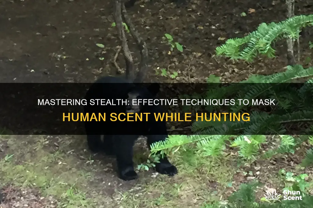 can you cover human scent when hunting