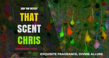 Can You Detect That Scent, Chris? Unraveling the Mystery of Olfactory Perception