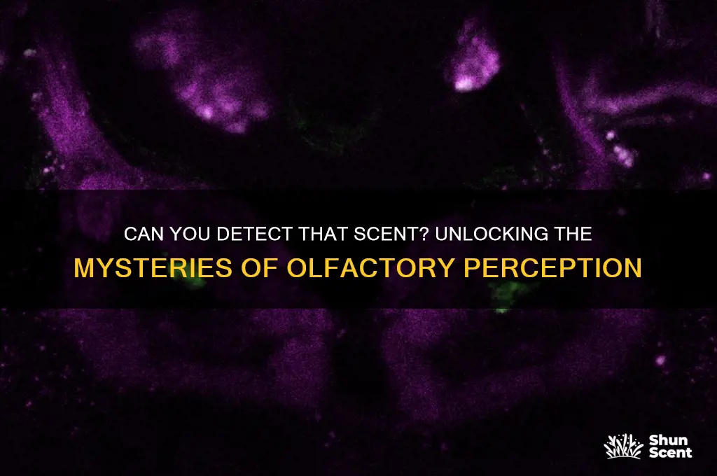 can you detect that scent