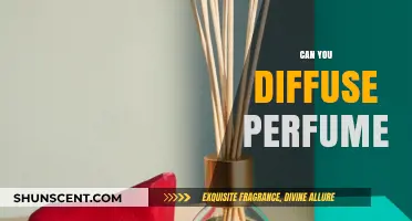 The Art of Diffusing Perfume in Your Space
