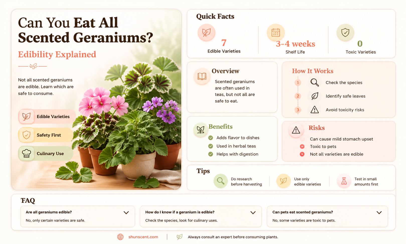 are all scented geraniums edible