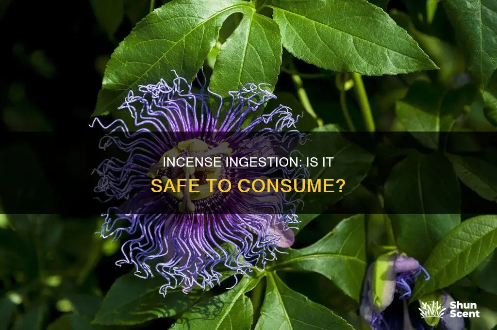 can you eat incense