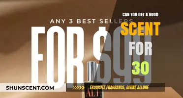 Affordable Aromas: Discovering Quality Scents Under $30