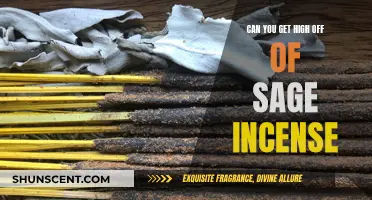 Incense and Intoxication: Getting High Off Sage
