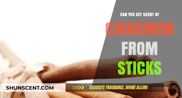 Unlocking Cinnamon's Aroma: Can Cinnamon Sticks Release Their Scent?