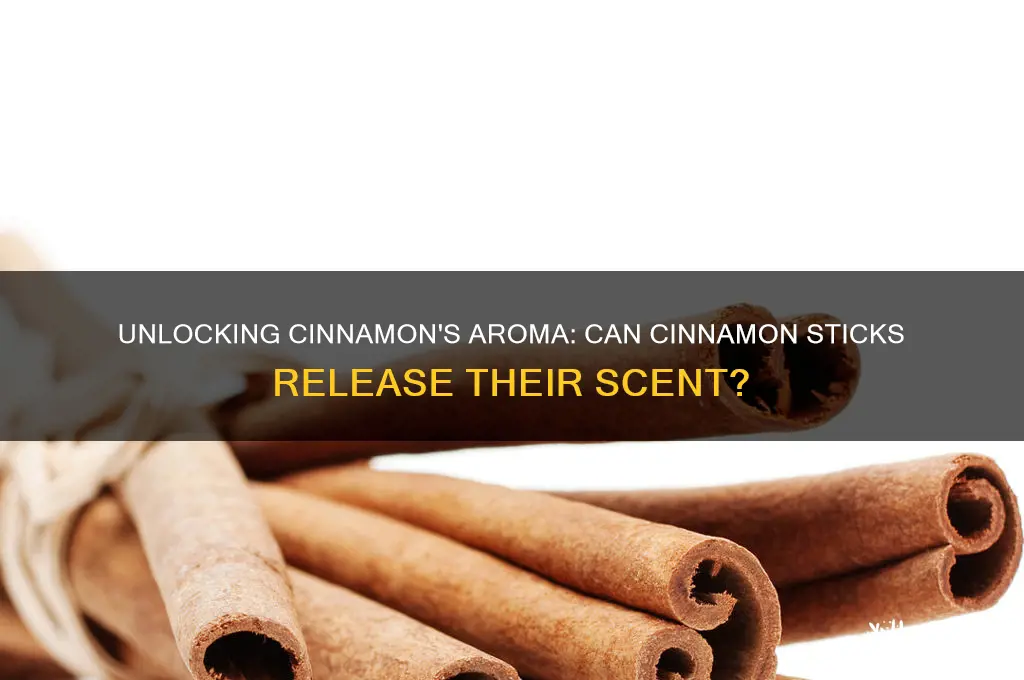 can you get scent of cinnamon from sticks