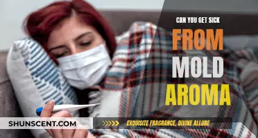 Mold Aroma: Is It Making You Sick?