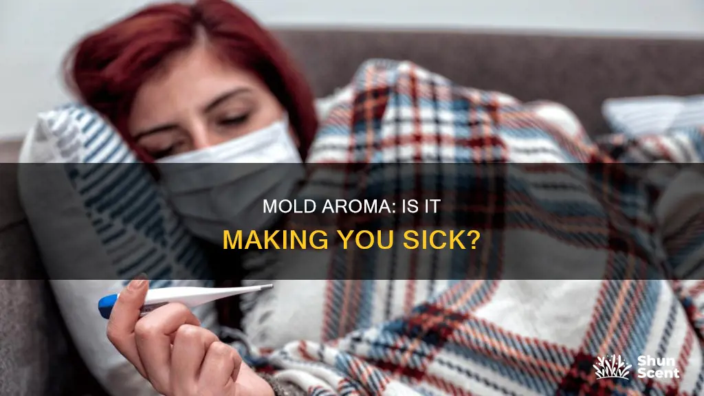 can you get sick from mold aroma