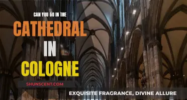 Exploring Cologne's Cathedral: A Visitor's Experience