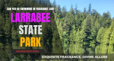 Swimming in Fragrance Lake: A Larrabee State Park Adventure