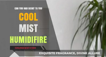 Adding Scent to Your Cool Mist Humidifier: Tips and Tricks