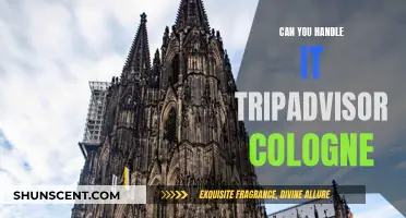 Cologne's Tripadvisor: Can You Handle the Heat?