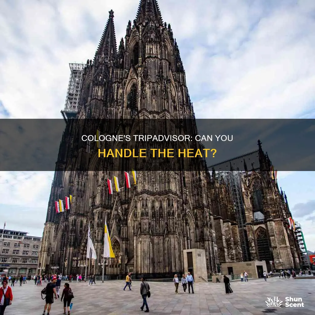 can you handle it tripadvisor cologne