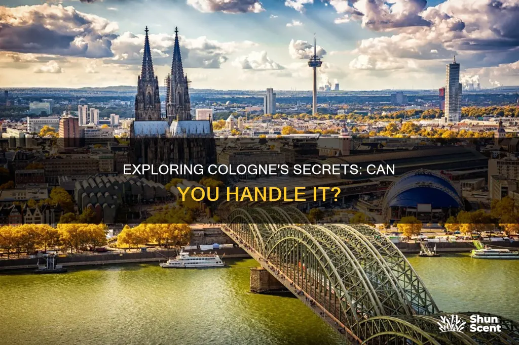 can you handle it walking tour cologne