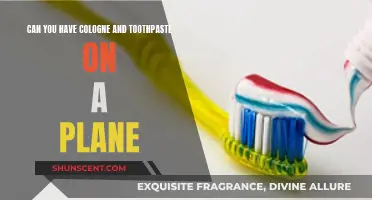 Cologne and Toothpaste: What's Allowed on a Plane?