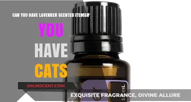 Lavender Scents and Cats: Safe or Risky for Feline Friends?