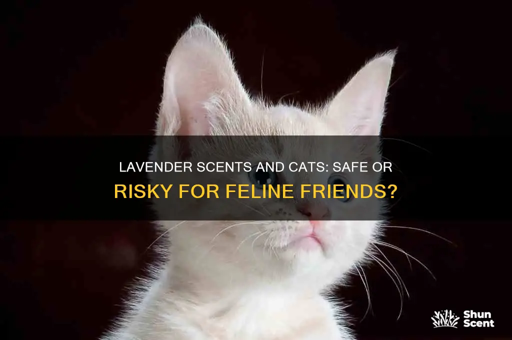 can you have lavender scented itemsif you have cats